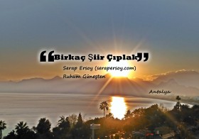 BİRKAÇ ŞİİR ÇIPLAK | Serap Ersoy (R.G)
